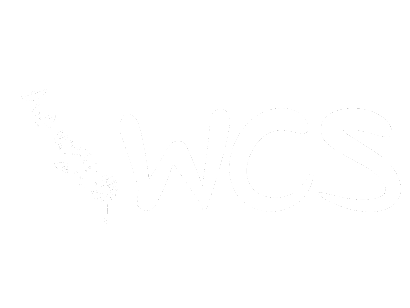 WCS Studio Portfolio – Photography in Bangalore